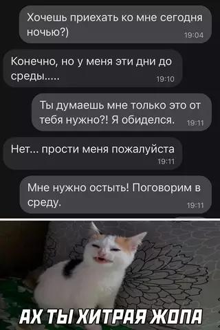 Смешная картинка №646656