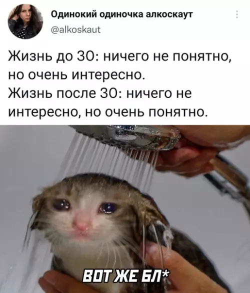 Смешная картинка №604265
