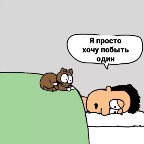 Смешная картинка №591862 И никaк инaчe