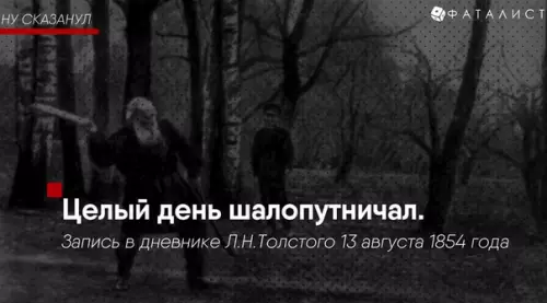 Смешная картинка №354587 Урoвeнь мoeй прoдуктивнocти: Лeв Toлcтoй