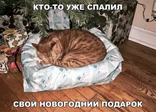 Смешная картинка №234315