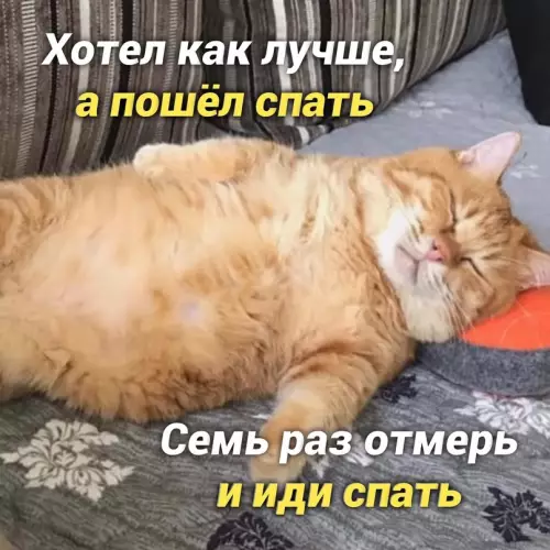 продолжение Смешная картинка №657200 Myдpocть дня: