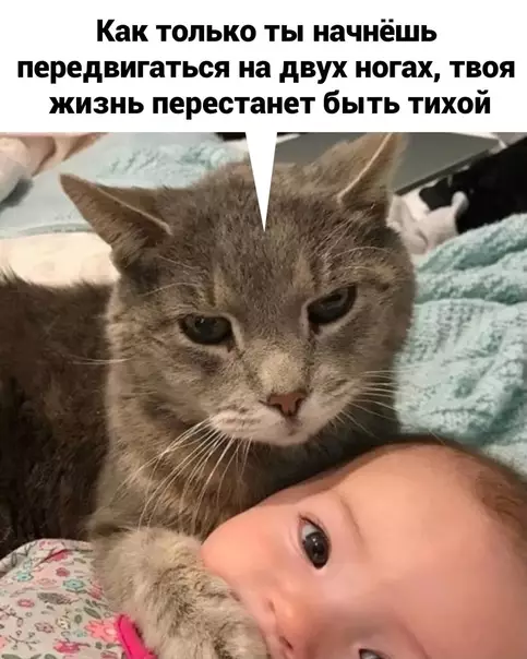 продолжение Смешная картинка №565596