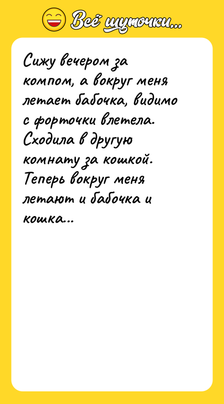 Сижу вечером за компом, а вокруг меня летает бабочка, видимо