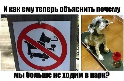 Смешная картинка №668286