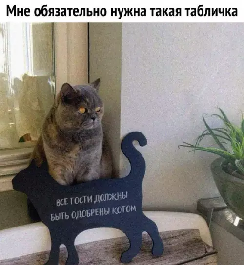 Смешная картинка №687620