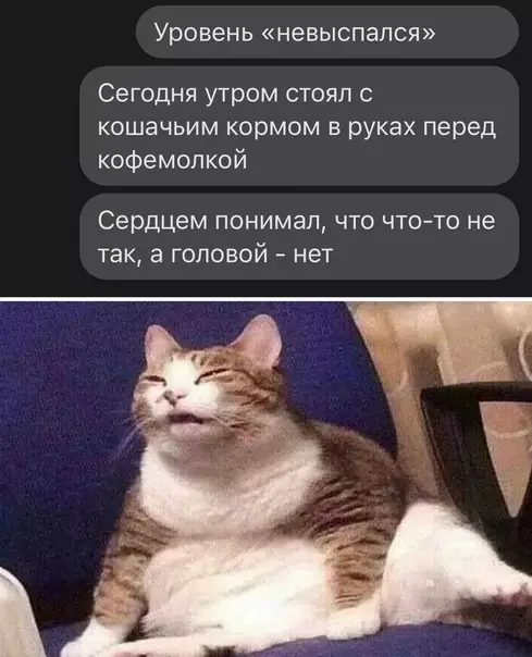 Смешная картинка №534853