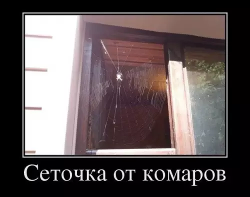 Смешная картинка №197783