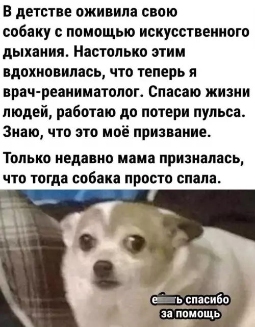 Смешная картинка №683070