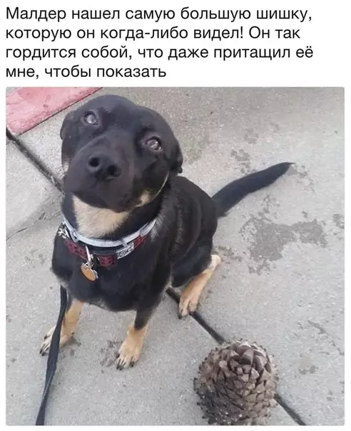 Смешная картинка №472522 самый лучший мальчик