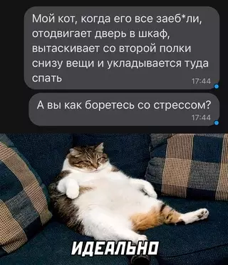 Смешная картинка №664676