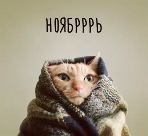 Смешная картинка №311720