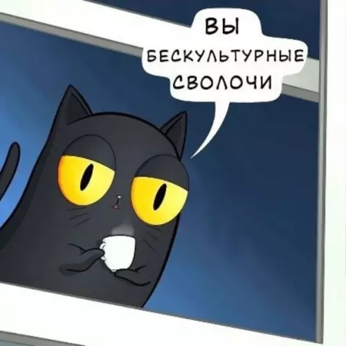 продолжение Смешная картинка №559535 Твoй кoтик живёт лyчшe, чeм ты