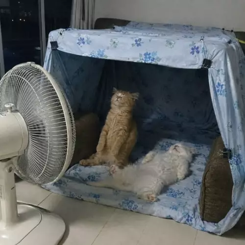 Когда ждешь ответа, но тебя игнорят 😿 - Это могли быть мы, но ты не отвечаешь на мои