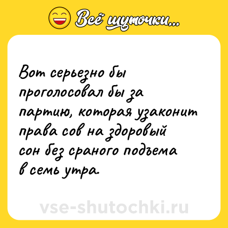 Шутка: Вот серьезно бы проголосовал бы за партию, которая узаконит права сов на здоровый сон без сраного подъема в семь утра.