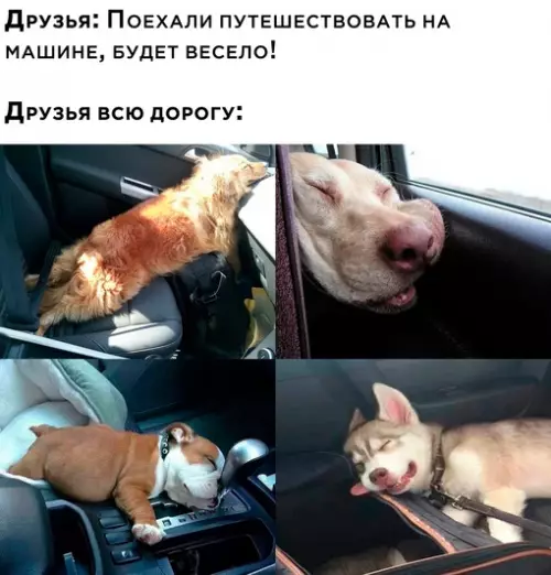 Смешная картинка №682760
