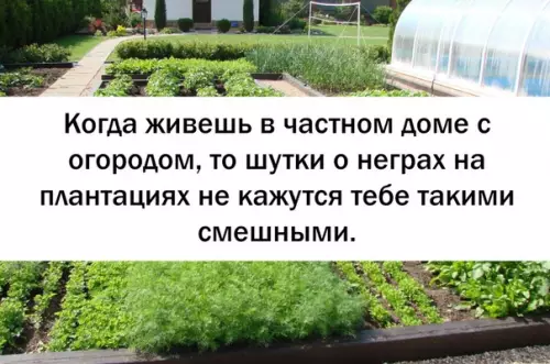 Смешная картинка №286993