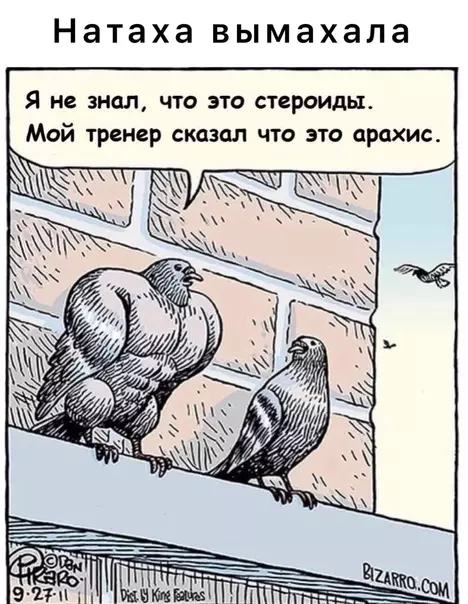 Смешная картинка №577082