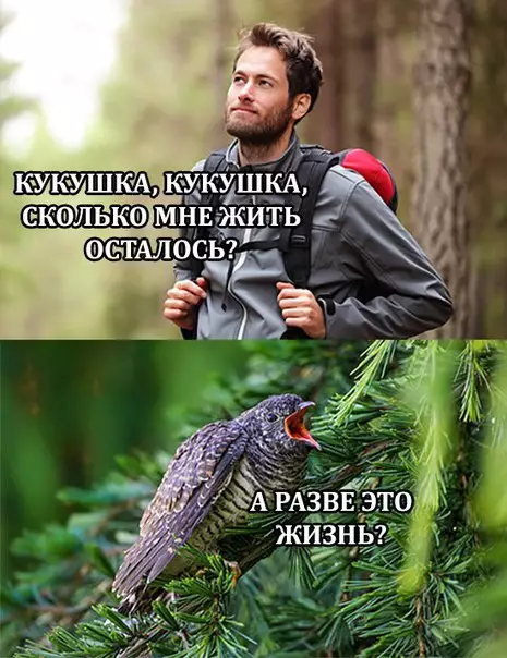 Смешная картинка №220062