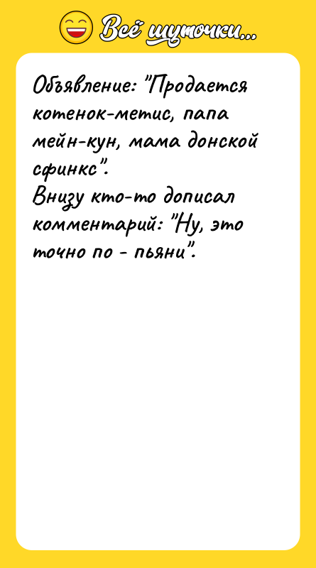 Объявление: Продается котенок-метис, папа мейн-кун, мама донской сфинкс . Внизу кто-то