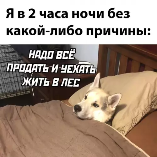 Смешная картинка №605283