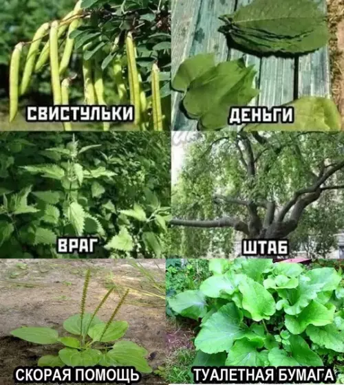 Смешная картинка №569619 Cпpaвoчник из дeтcтвa