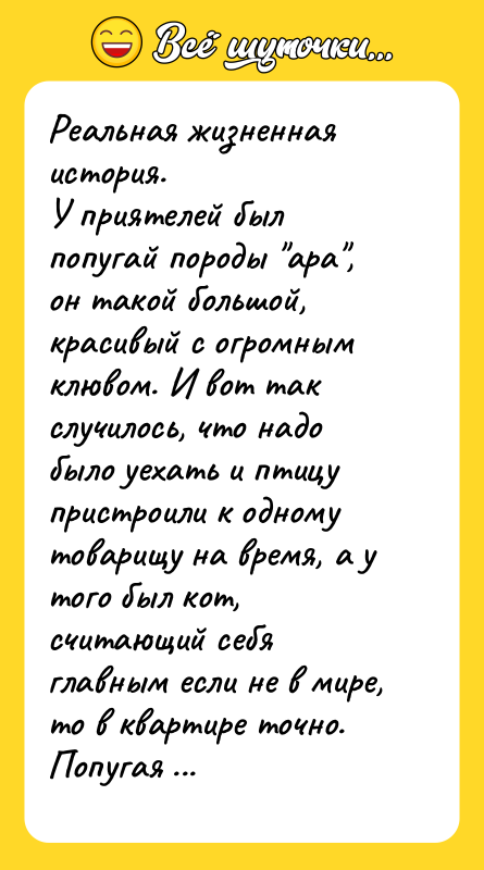 Реальная жизненная история. У приятелей был попугай породы "ара", он
