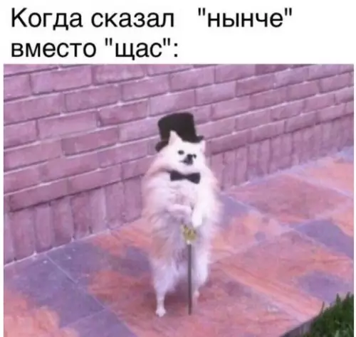 Смешная картинка №274468