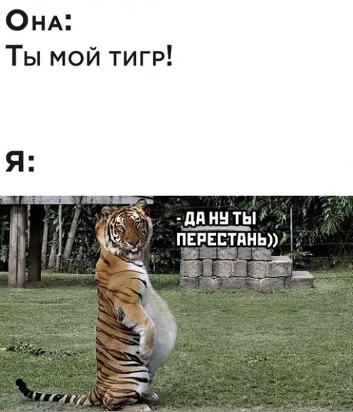 Смешная картинка №511224