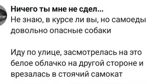 Осторожно, самоеды атакуют! ☁️🐕 - Ничего ты мне не сдел... Не знаю, в курсе ли