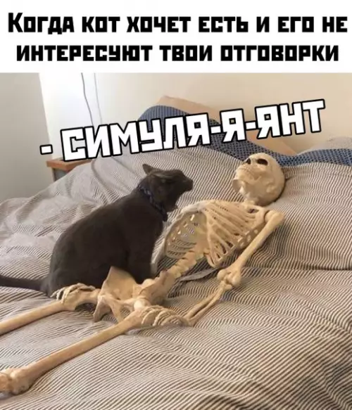 Смешная картинка №429034