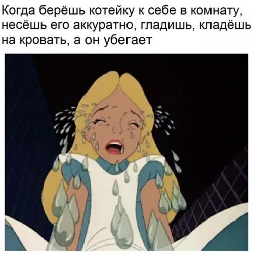 Смешная картинка №222321