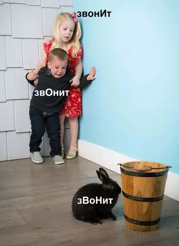 продолжение Смешная картинка №763339