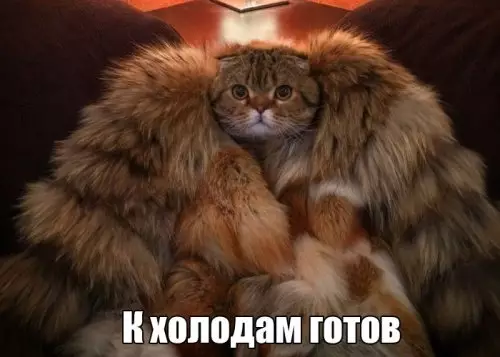 Смешная картинка №309310