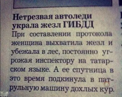 Смешная картинка №537910 Да что ты знаешь о приключениях ?