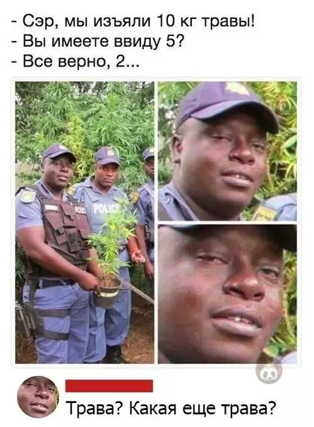 Смешная картинка №486825 Кого? А что была трава ?