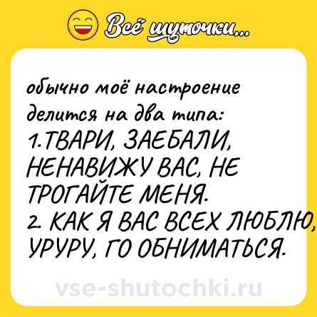 Шутка: обычно моё настроение делится на два типа: <br>1.ТВАРИ, ЗАЕБАЛИ, НЕНАВИЖУ ВАС, НЕ ТРОГАЙТЕ МЕНЯ.<br>2. КАК Я ВАС ВСЕХ ЛЮБЛЮ, УРУРУ, ГО ОБНИМАТЬСЯ.