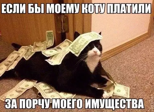 Смешная картинка №233685