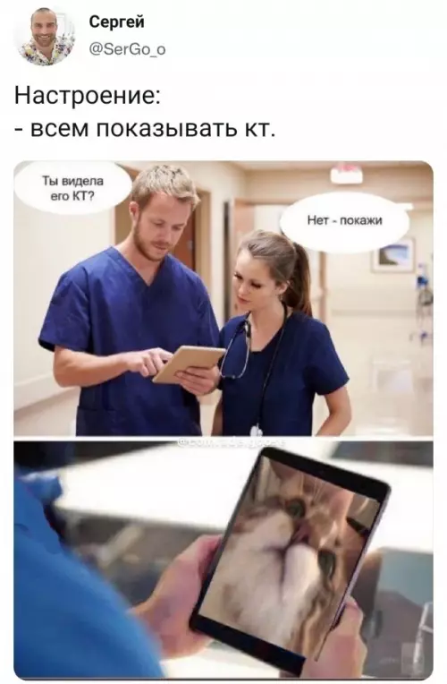 Смешная картинка №598284