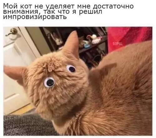 Смешная картинка №242471