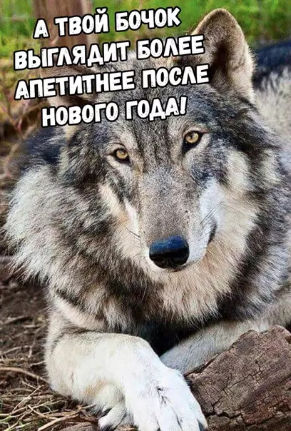 Смешная картинка №322539