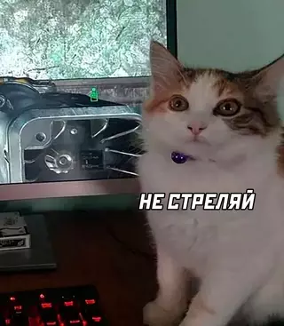 продолжение Смешная картинка №687729