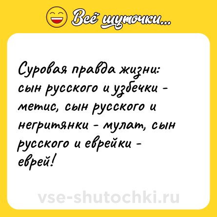 Шутка: Суровая правда жизни:<br>сын русского и узбечки - метис, сын русского и негритянки - мулат, сын русского и еврейки - еврей!