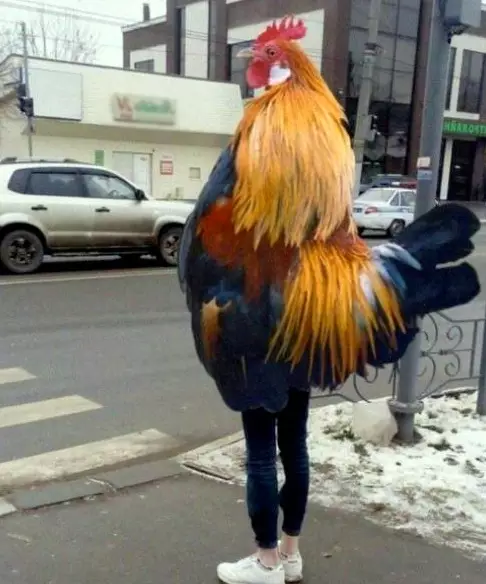 Смешная картинка №362449 Kaк я вижy coврeменных пapнeй в yзкиx штанах...))???