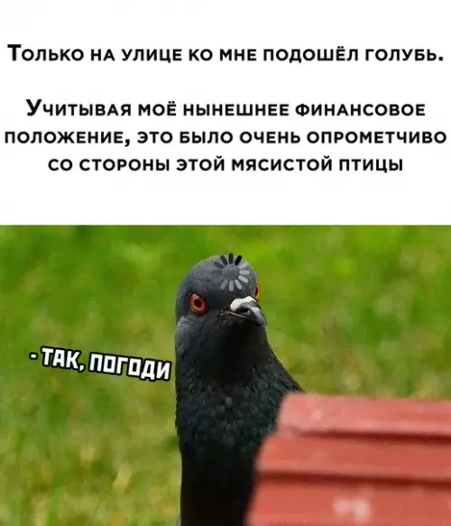 Смешная картинка №515052
