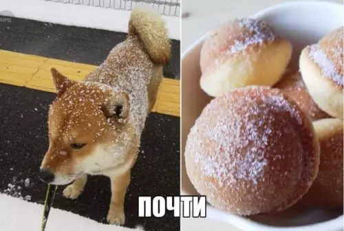 Смешная картинка №266746