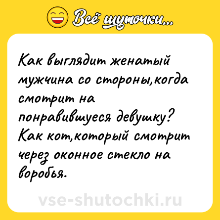 Шутка: Как выглядит женатый мужчина со стороны,когда смотрит на понравившуеся девушку? Как кот,который смотрит через оконное стекло на воробья.