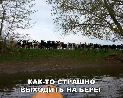 Смешная картинка №275219