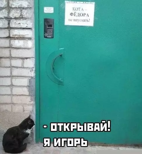 Смешная картинка №556354