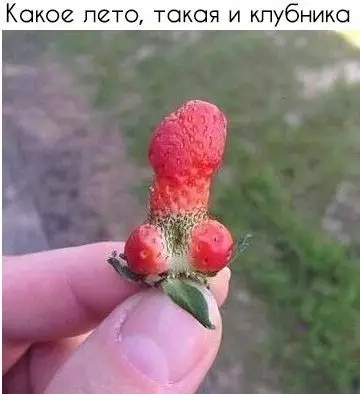 Смешная картинка №359984
